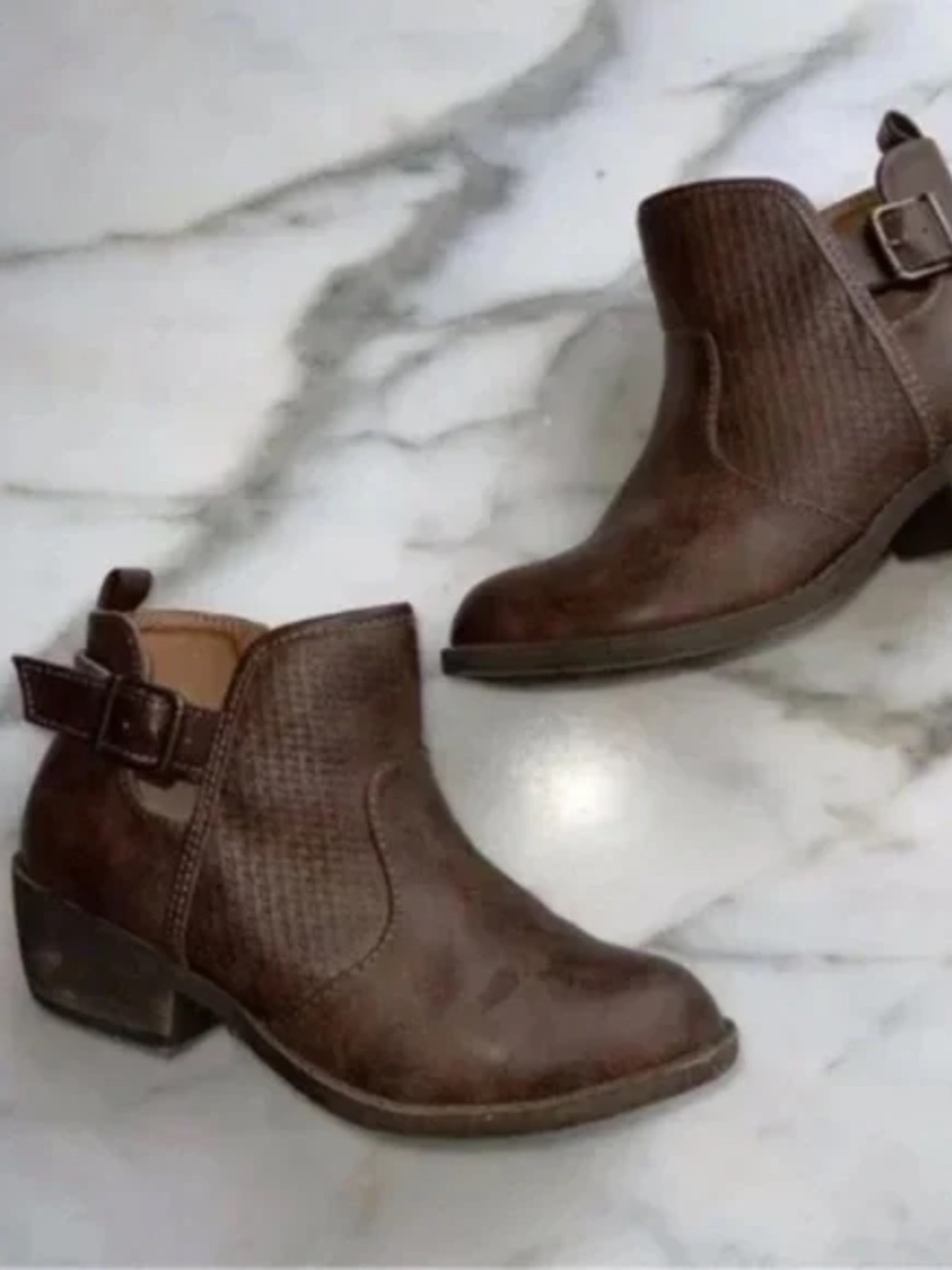 Jellypop Women's Sarin Brown Ankle Booties
